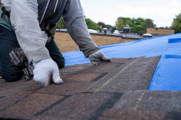 Best Commercial Roofing Services  in Sunland Park, NM