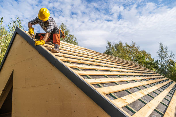 Best Roof Gutter Cleaning  in Sunland Park, NM
